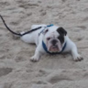 Meet your Posher, Stephen